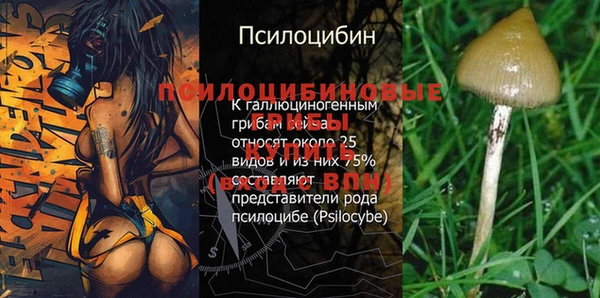 экстази Армянск