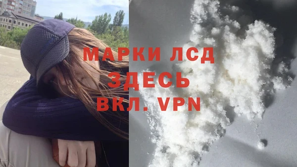 гидра Аркадак